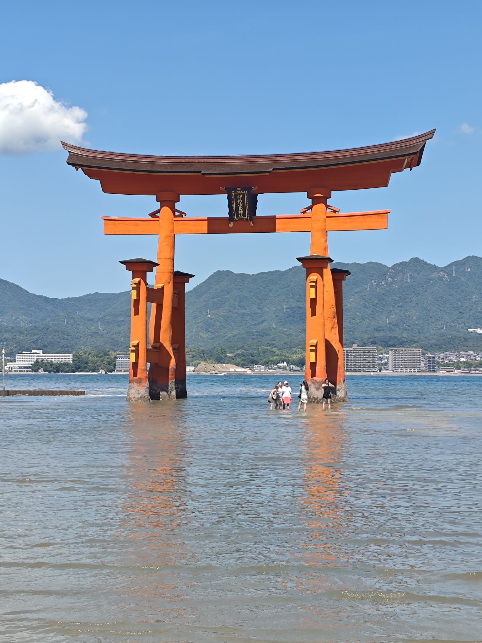Unknown-2